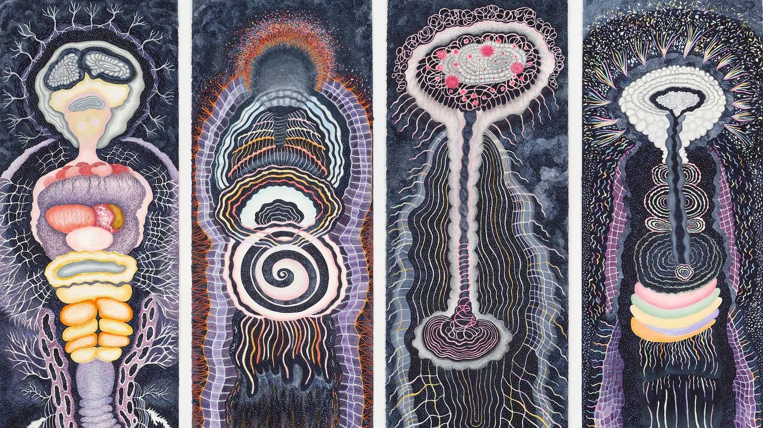 Ann Leda Shapiro: Through the Tunnel