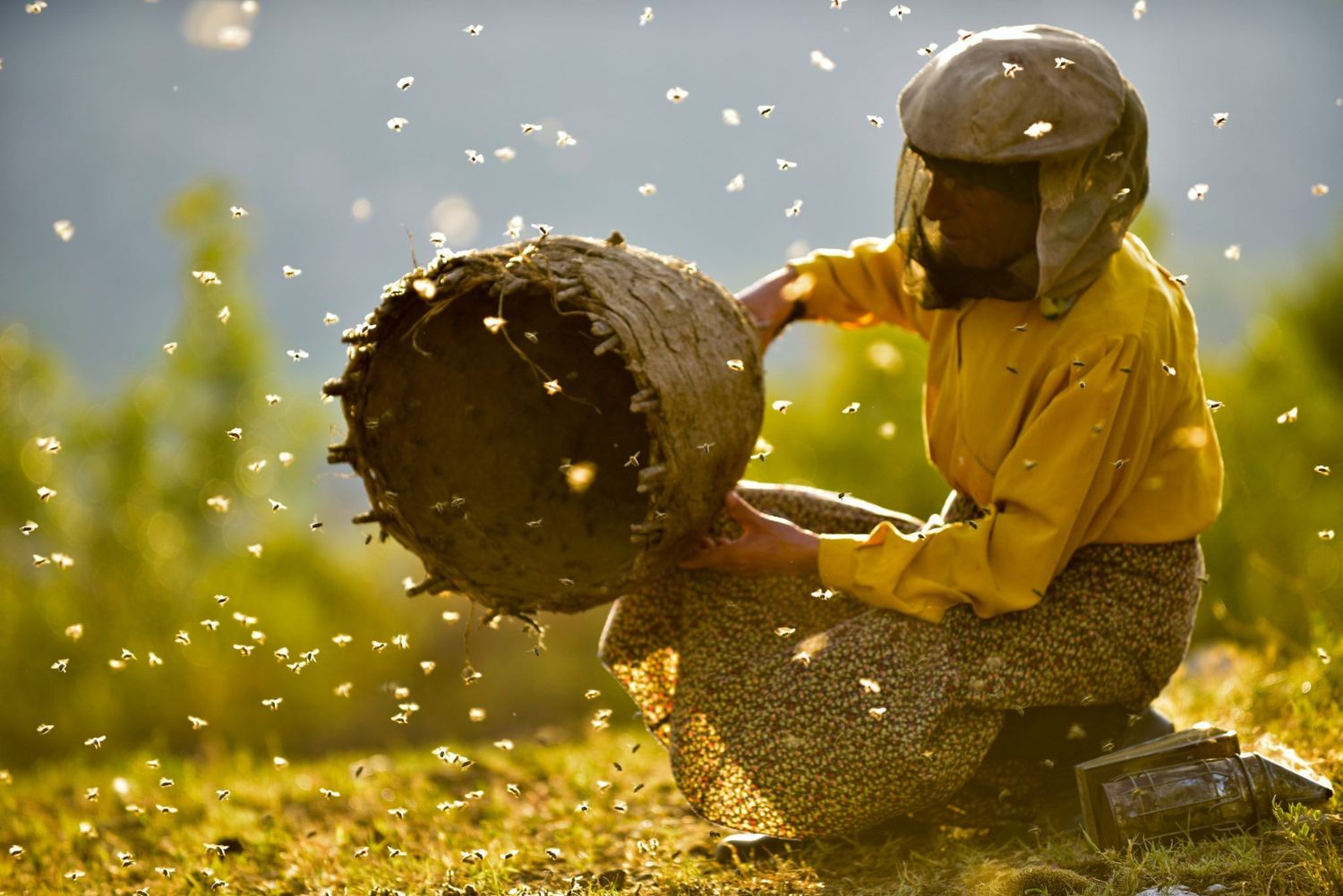 Artist's Choice | Honeyland