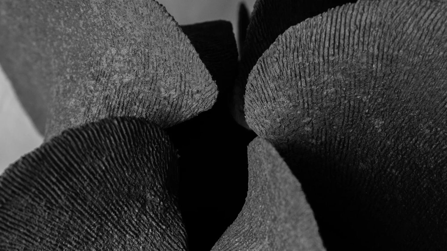 Casey Johnson: Primary Forms