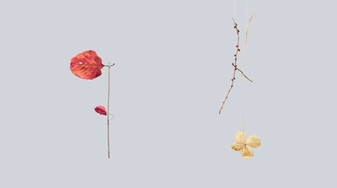 Cecilia Vicuña: Foraging Quipu