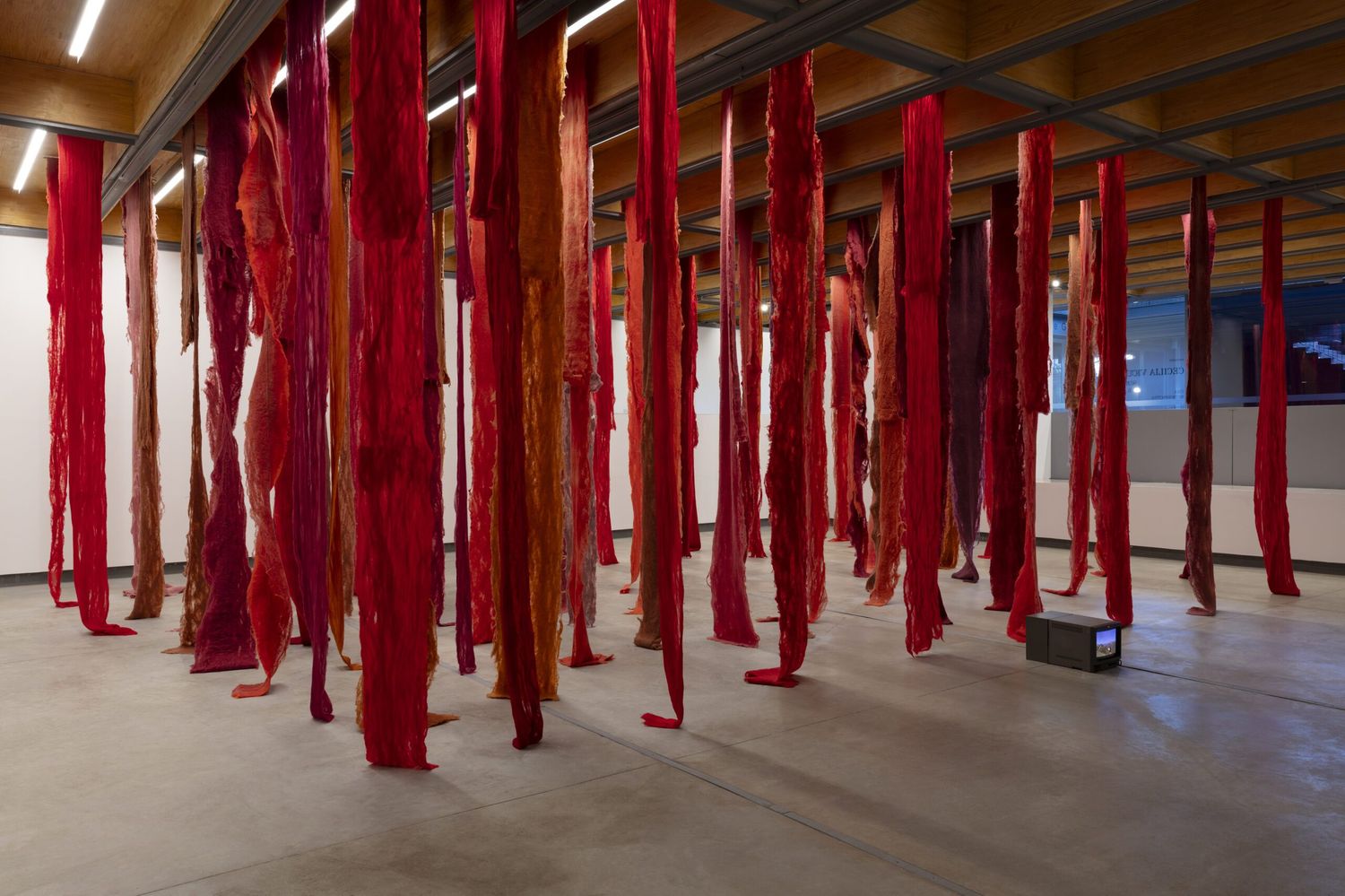 Cecilia Vicuña: Living Threads
