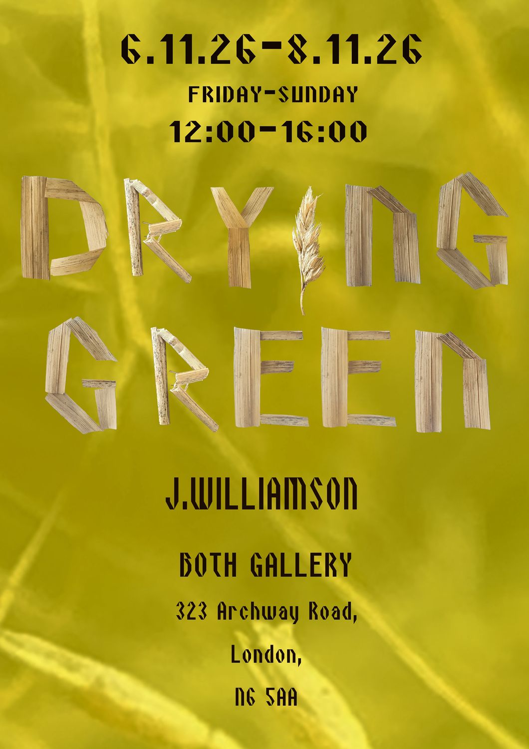 'DRYING GREEN' J.Williamson