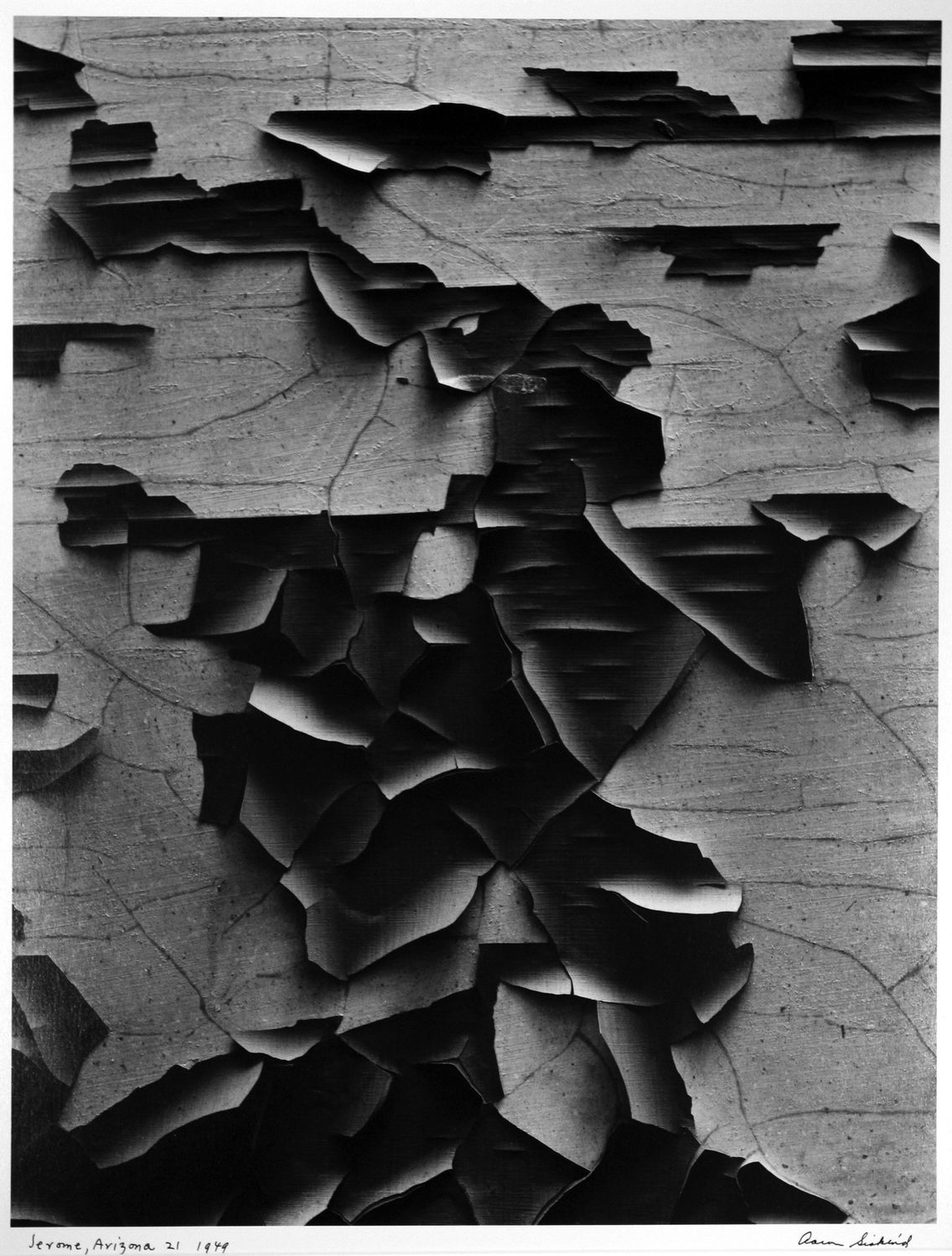 Edgar Ramirez & Aaron Siskind — Dialectical Surfaces