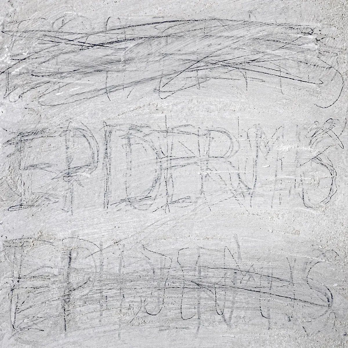 Epidermis