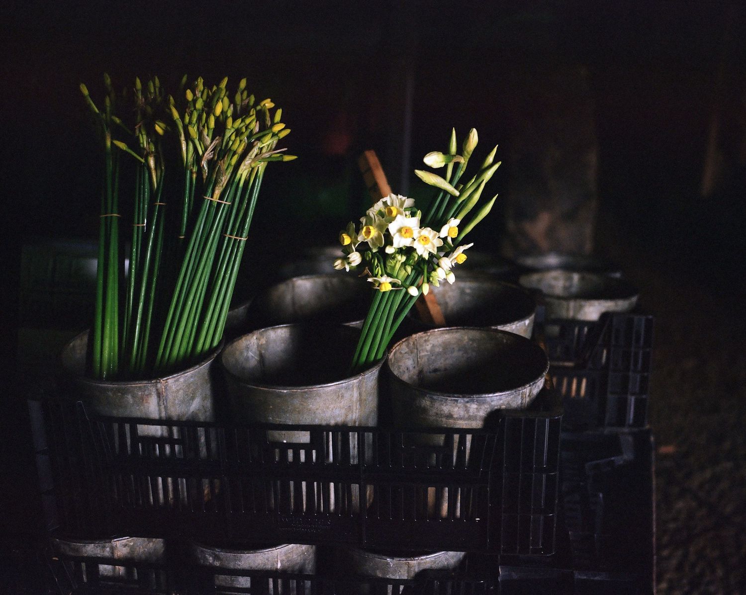 Joanne Coates: 'Cornish Gold - Custodians of the Soil'