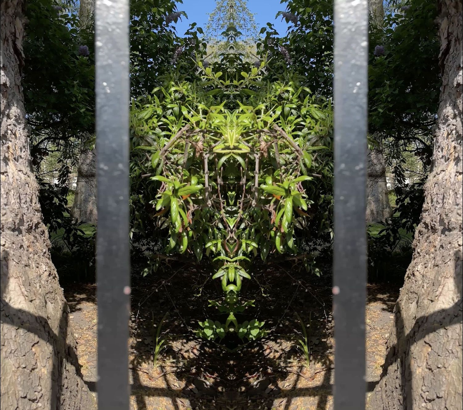 Mark Wallinger: Field