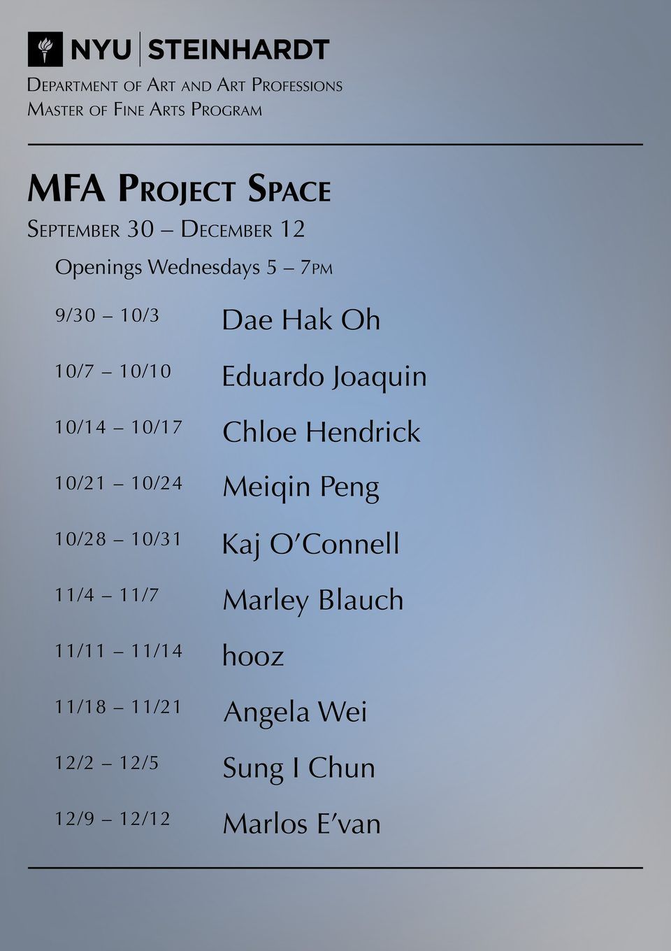 MFA Project Space