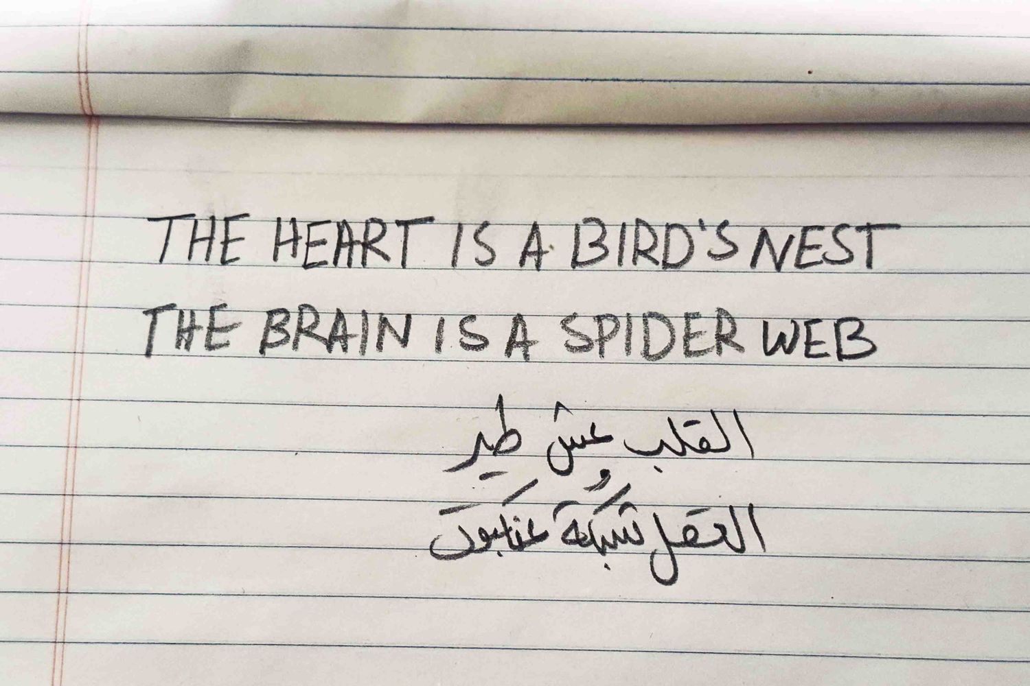 Mohammad Alfaraj: The Heart Is a Birds Nest, The Brain Is a Spider Web
