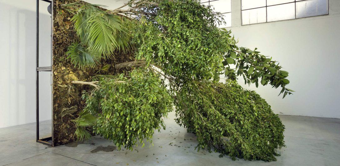 Next Door