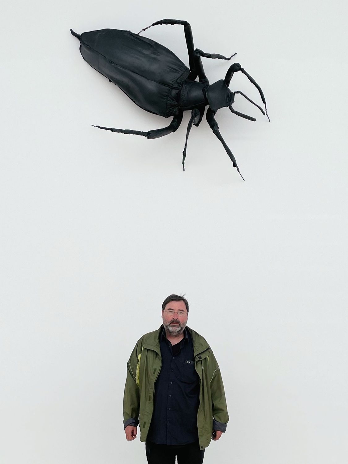 Peter Pohl: Bugs