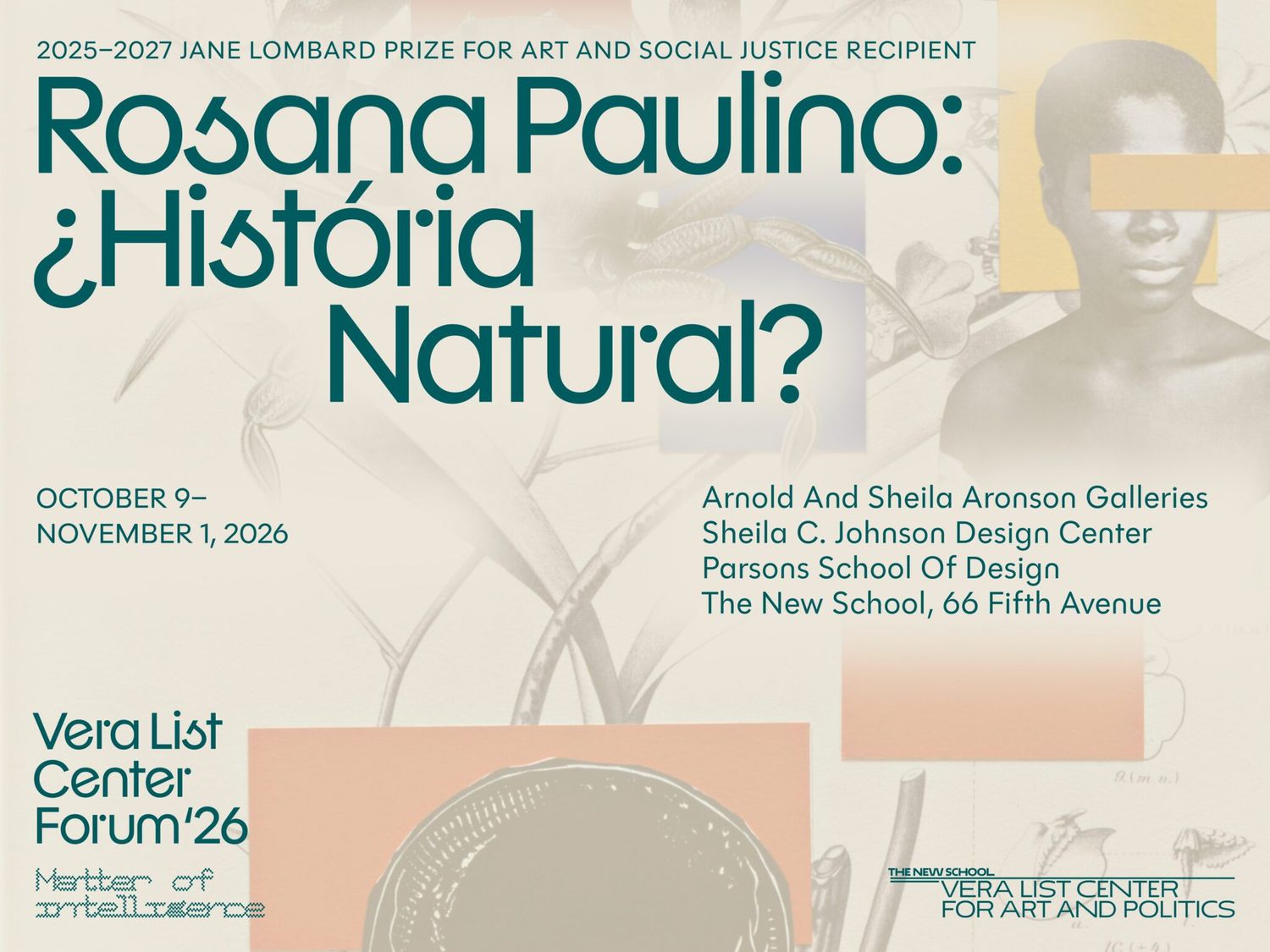 Rosana Paulino: ¿História Natural?