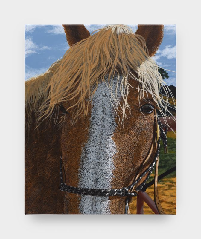Sarah Miska – Happy Trails