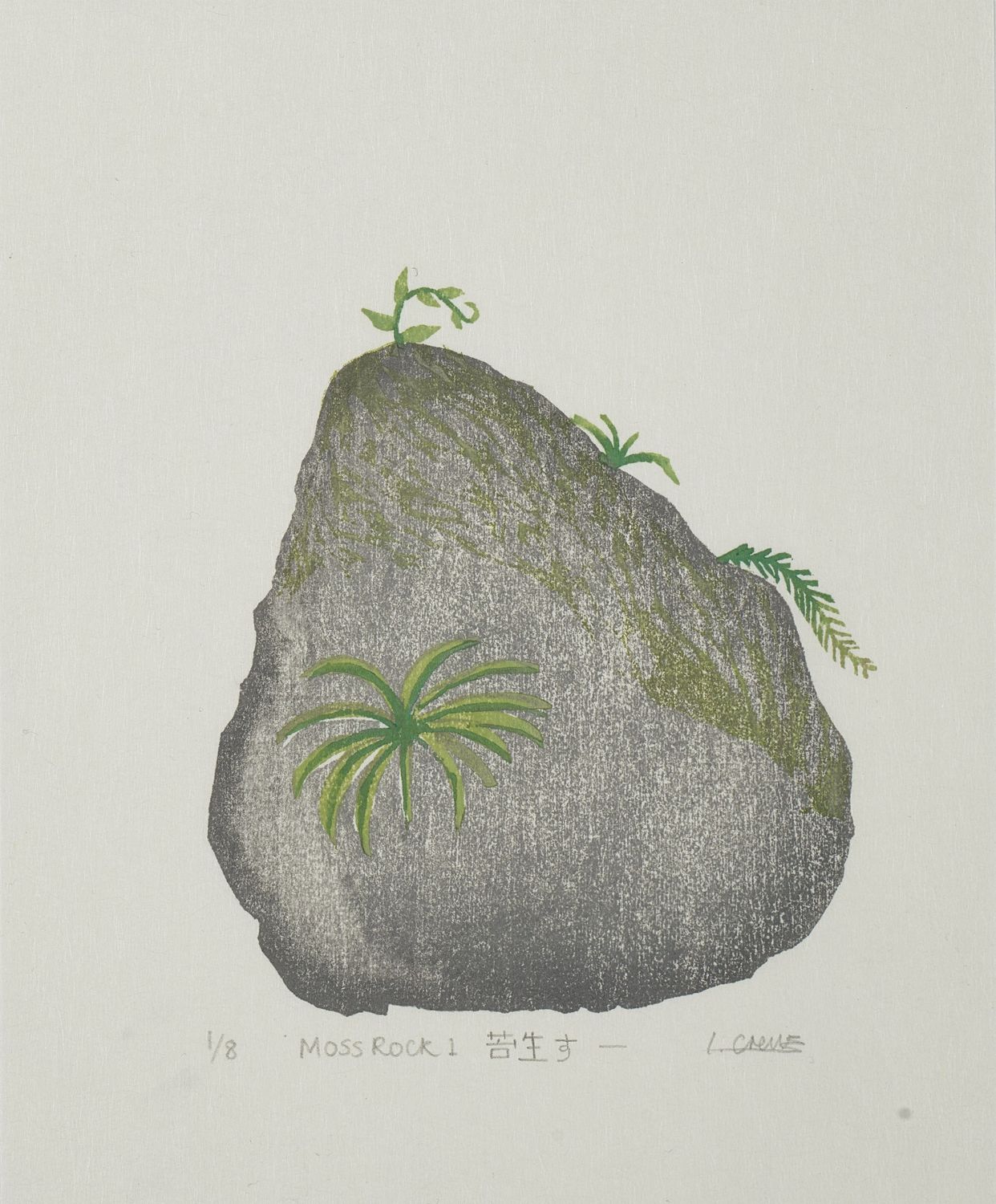 Surface Histories - Leah Crews