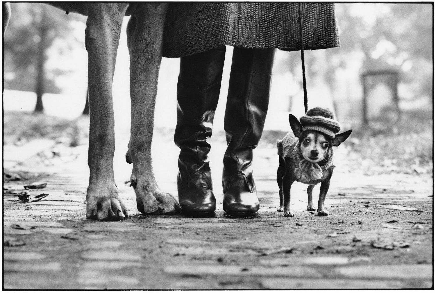The Magic of the Street – Masterpieces of Street Photography