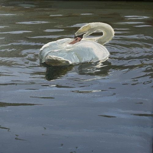 'Transient Light, Familiar Places' - An exhibition of paintings by Chris Peckham